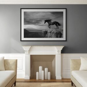 Desert Mirage: The Enigmatic Steed